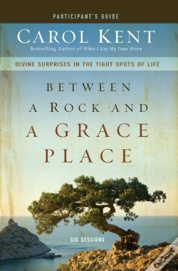 Capa do artigo Between A Rock And A Grace Place Bible Study Participant'S Guide