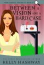 Between A Vision And A Hard Case - Preview