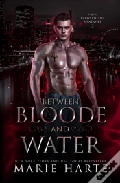 Capa do artigo Between Bloode And Water