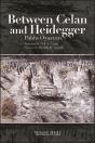 Between Celan And Heidegger - Preview