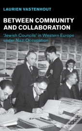 Between Community And Collaboration