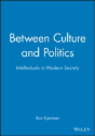 Between Culture And Politics - Preview