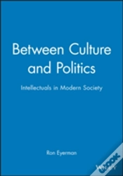 Capa do artigo Between Culture And Politics