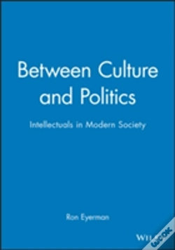 Capa do artigo Between Culture And Politics