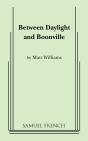 Between Daylight And Boonville - Preview