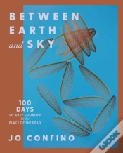Capa do artigo Between Earth And Sky