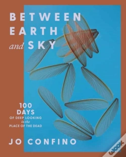 Capa do artigo Between Earth And Sky