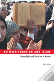 Capa do artigo Between Feminism And Islam