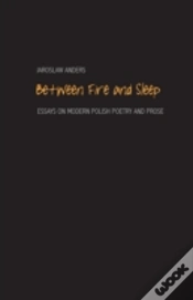 Capa do artigo Between Fire And Sleep