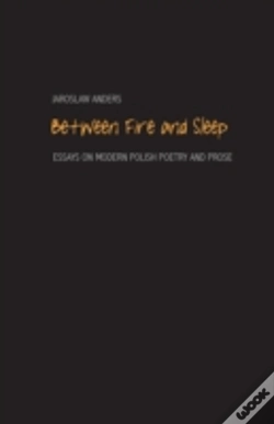 Capa do artigo Between Fire And Sleep
