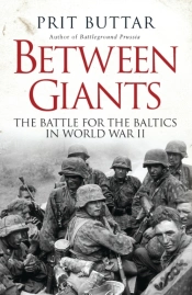 Capa do artigo Between Giants