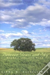Capa do artigo Between Grass And Sky