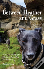 Capa do artigo Between Heather And Grass