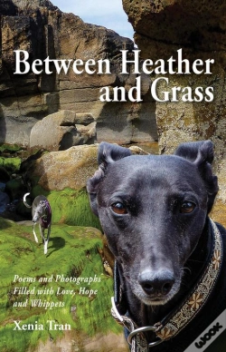 Capa do artigo Between Heather And Grass