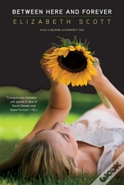 Capa do artigo Between Here And Forever