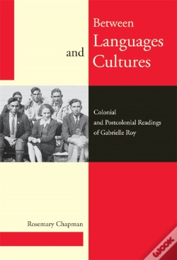 Capa do artigo Between Languages And Cultures