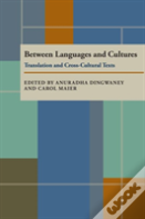 Between Languages And Cultures