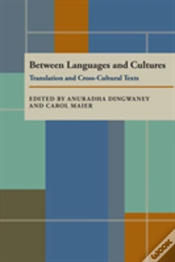 Capa do artigo Between Languages And Cultures