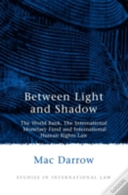 Capa do artigo Between Light And Shadow