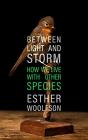 Between Light And Storm - Preview