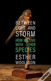 Capa do artigo Between Light And Storm