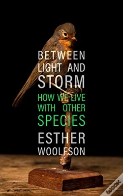 Capa do artigo Between Light And Storm