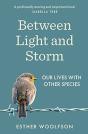 Between Light And Storm - Preview