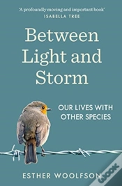 Capa do artigo Between Light And Storm