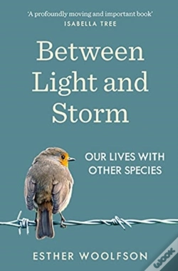 Capa do artigo Between Light And Storm