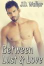 Between Lust And Love Box Set - Preview