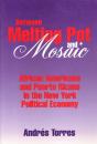 Between Melting Pot And Mosaic - Preview