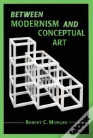 Between Modernism And Conceptual Art