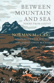Capa do artigo Between Mountain And Sea