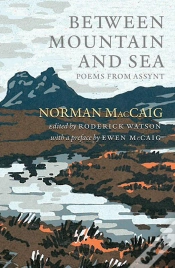 Capa do artigo Between Mountain And Sea