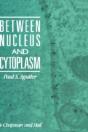 Between Nucleus And Cytoplasm - Preview