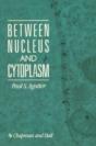 Between Nucleus And Cytoplasm - Preview