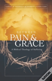 Capa do artigo Between Pain And Grace