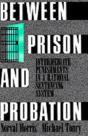 Between Prison And Probation - Preview