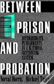 Capa do artigo Between Prison And Probation