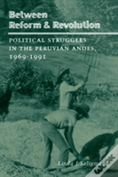 Between Reform And Revolution