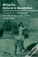 Between Reform And Revolution
