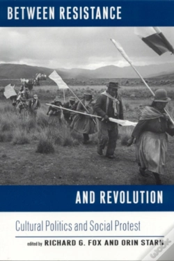 Capa do artigo Between Resistance And Revolution