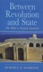 Between Revolution And State - Preview
