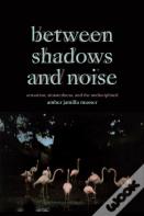 Between Shadows And Noise