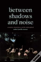 Capa do artigo Between Shadows And Noise