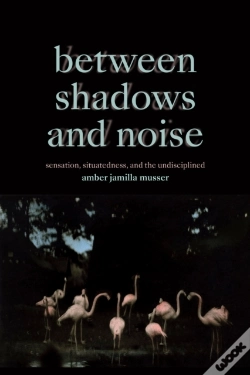 Capa do artigo Between Shadows And Noise