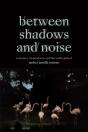 Between Shadows And Noise - Preview