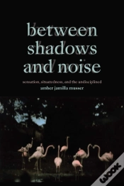 Capa do artigo Between Shadows And Noise
