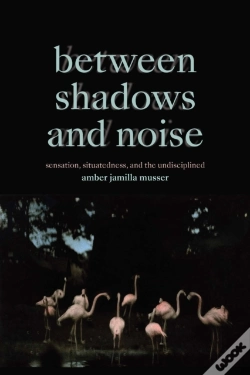 Capa do artigo Between Shadows And Noise