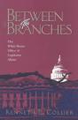 Between The Branches - Preview